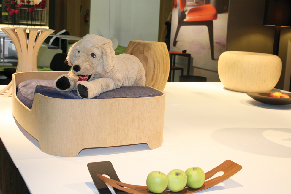 Wild Spirit1 (2)-----