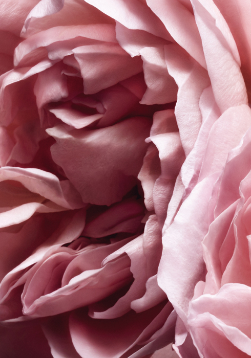 201512_sensualmoment_02