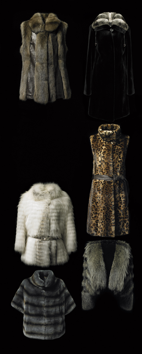 all about fur | StyleChosun